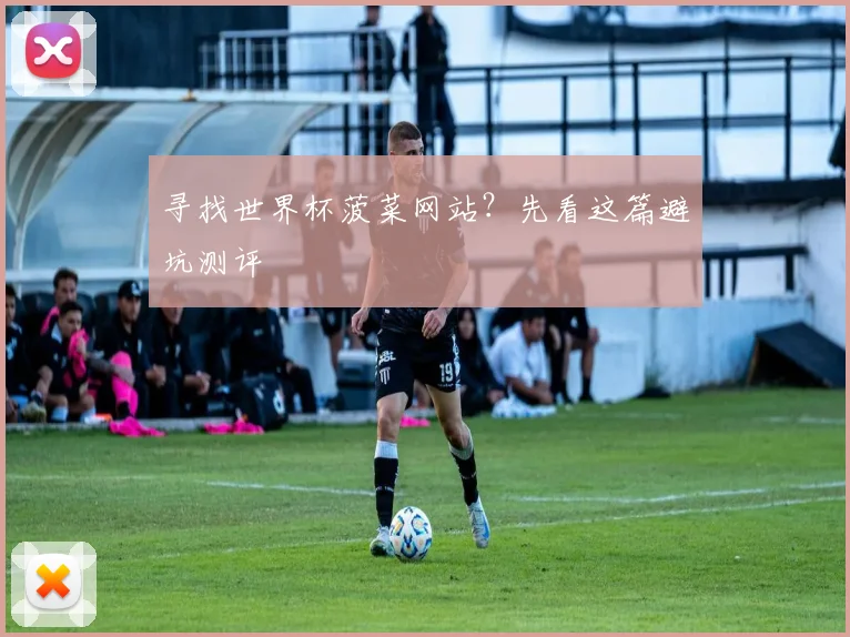 寻找世界杯菠菜网站?先看这篇避坑测评