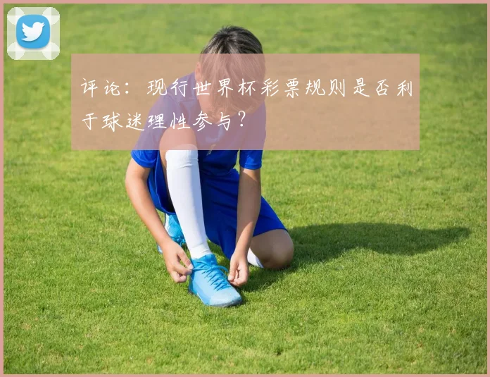 评论:现行世界杯彩票规则是否利于球迷理性参与?