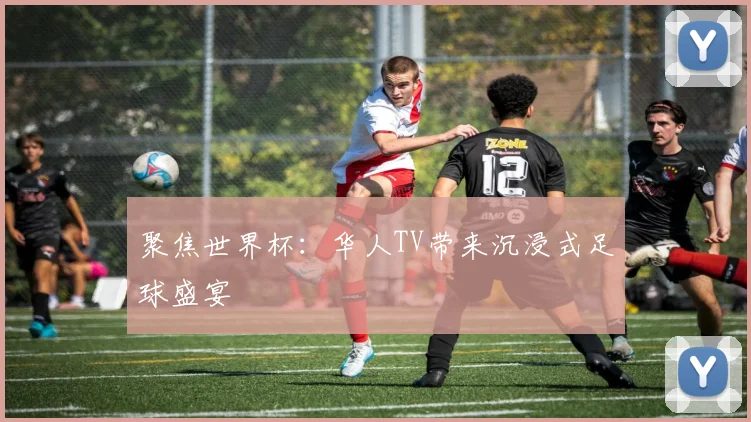 聚焦世界杯:华人TV带来沉浸式足球盛宴