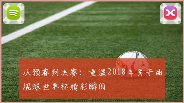 从预赛到决赛：重温2018年男子曲棍球世界杯精彩瞬间