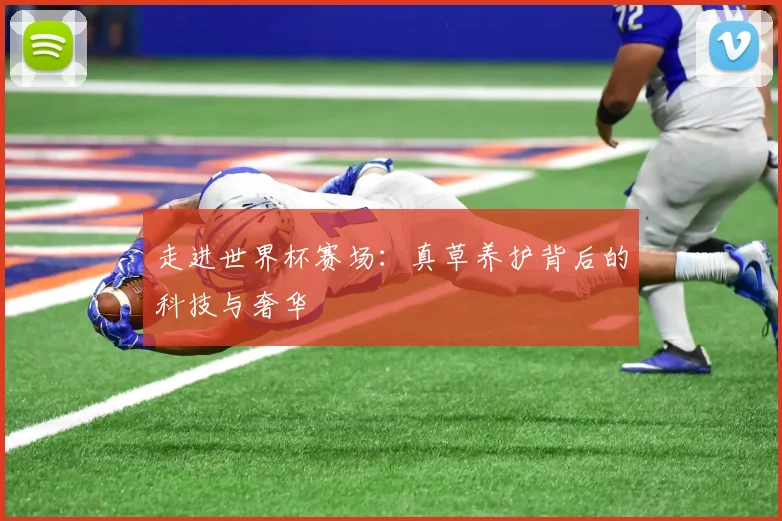 走进世界杯赛场：真草养护背后的科技与奢华