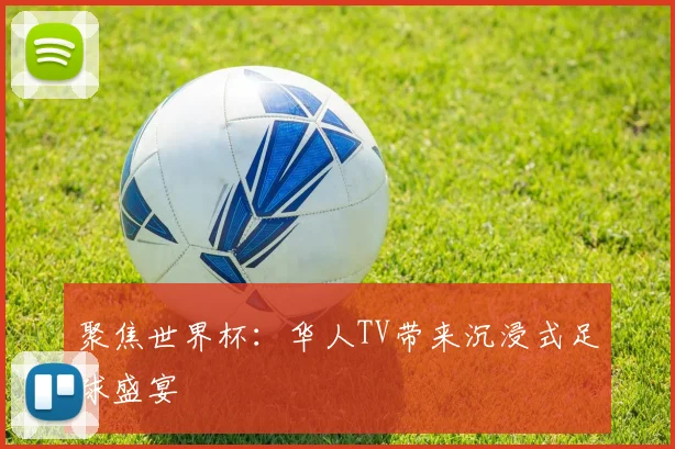 聚焦世界杯:华人TV带来沉浸式足球盛宴