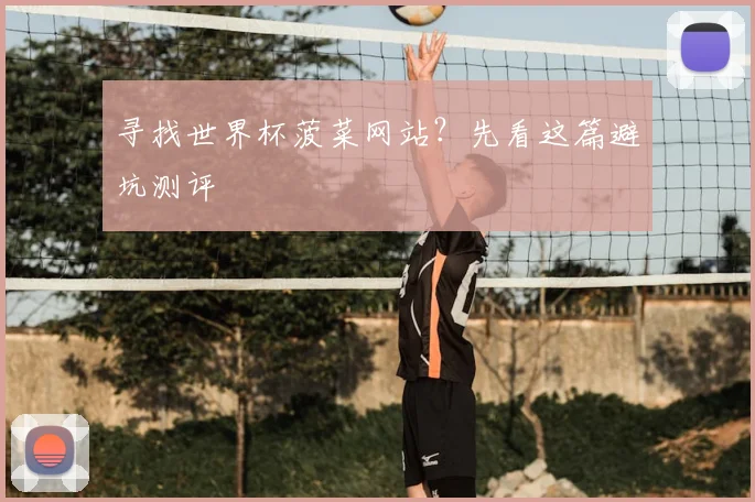 寻找世界杯菠菜网站？先看这篇避坑测评