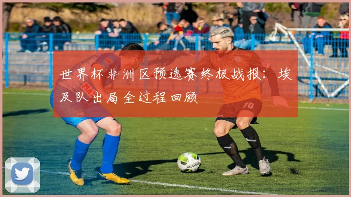 世界杯非洲区预选赛终极战报：埃及队出局全过程回顾