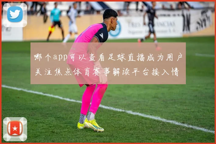 哪个app可以查看足球直播成为用户关注焦点体育赛事解读平台接入情况