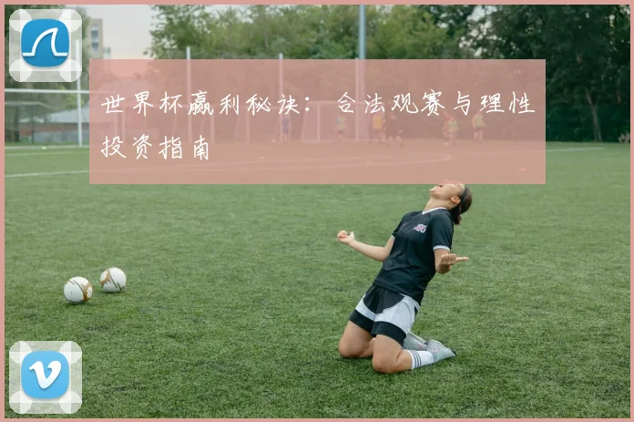 世界杯赢利秘诀：合法观赛与理性投资指南