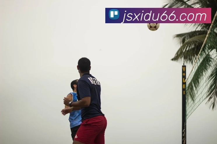 米兰在线登录入口网址APP 封面图